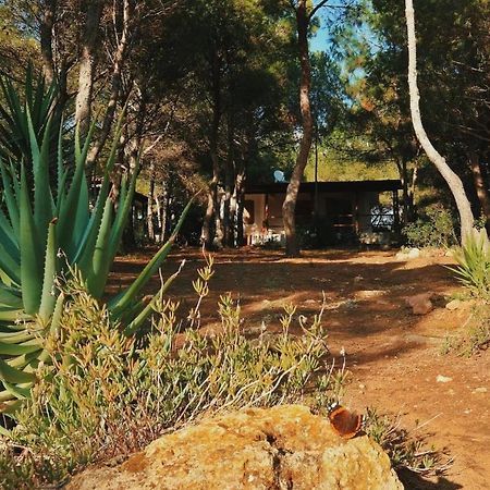 Villa Buonumoreポルト・ピノ エクステリア 写真