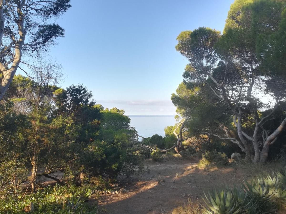Villa Buonumoreポルト・ピノ エクステリア 写真