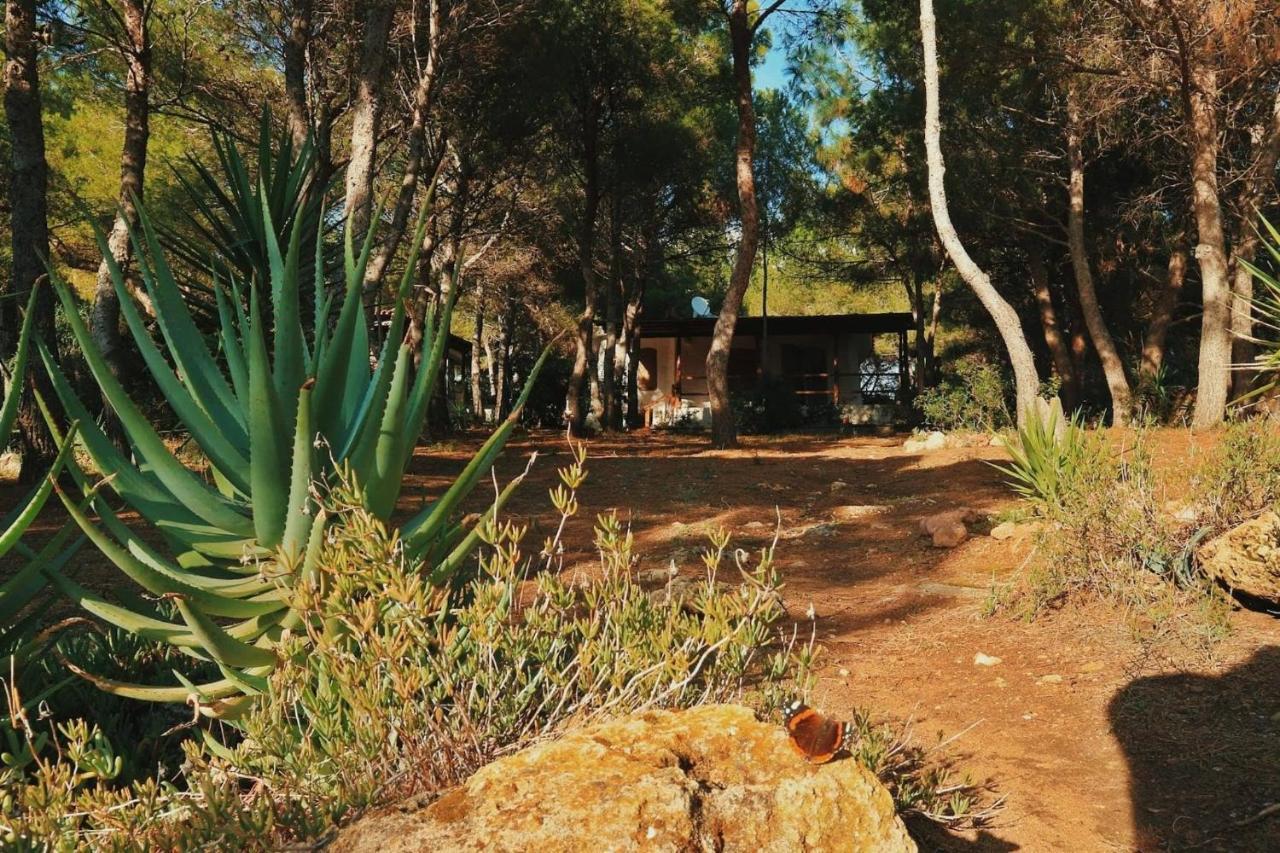 Villa Buonumoreポルト・ピノ エクステリア 写真